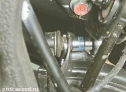 ������ �������  �������������